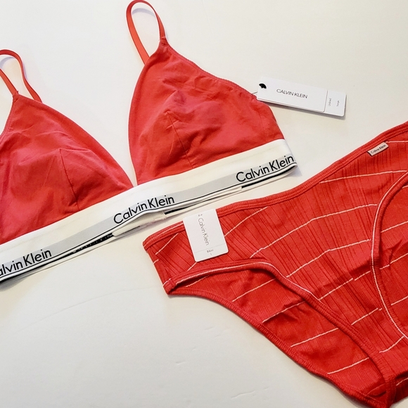 Calvin Klein Other - Calvin Klein Modern Cotton Triangle Bralette XL & Bikini L Strawberry Shake Set